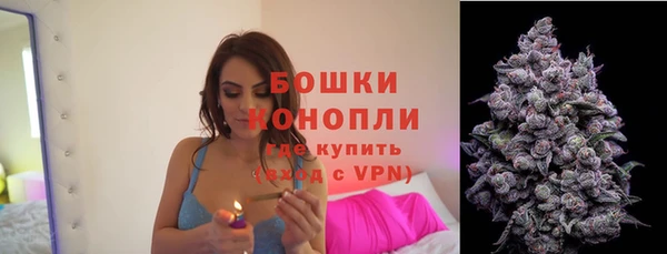 ALPHA PVP Няндома