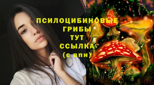 ALPHA-PVP Нязепетровск