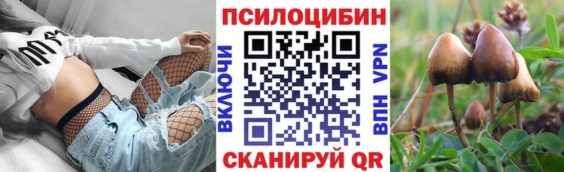 Галлюциногенные грибы Psilocybine cubensis  Почеп 